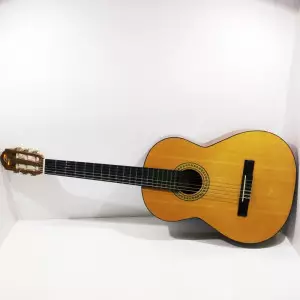 ویژگی گیتار آدمیرا rosario